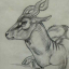 Gaston SUISSE (1896-1988) - Antilope cervicape.